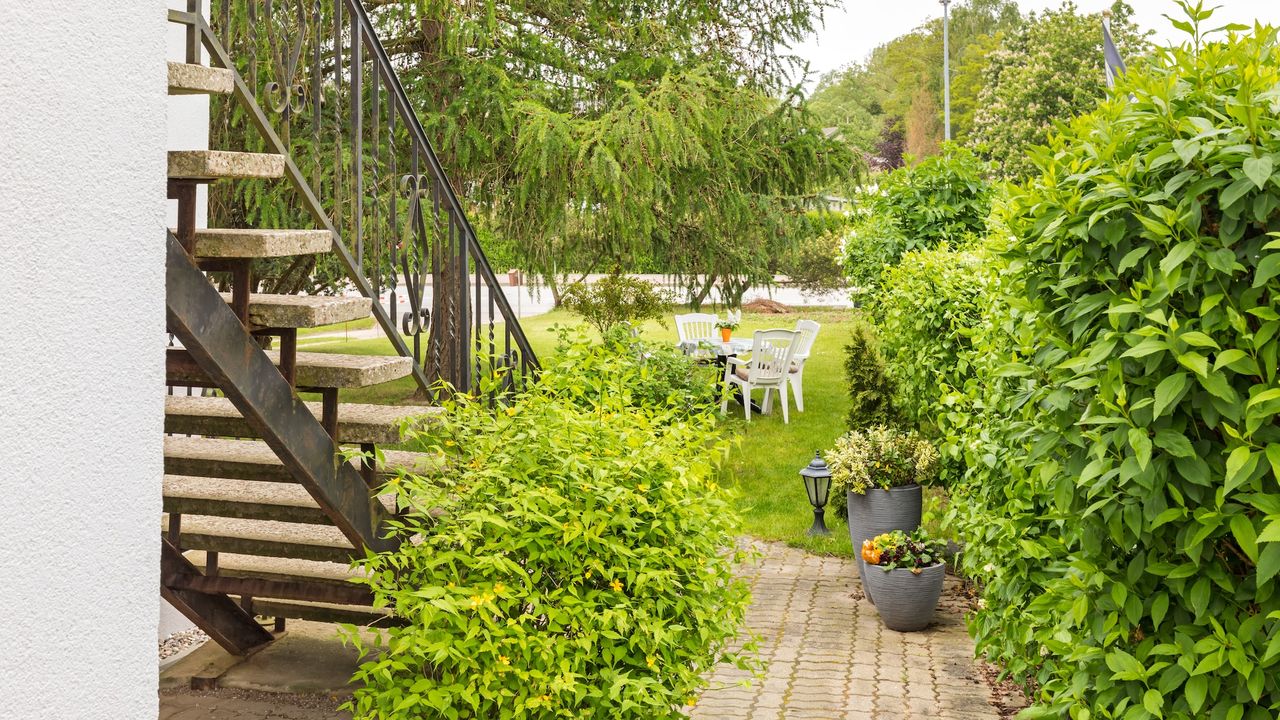 GardenSummer GardenSummer